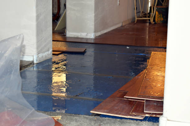 Professional Water Damage Restoration technician working in Manley, NE